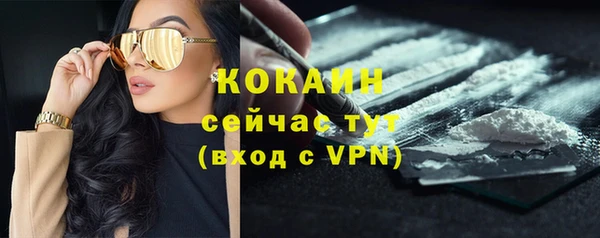 apvp Арсеньев
