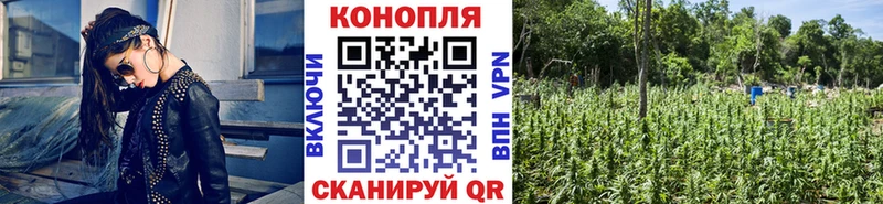 купить наркоту  Мамадыш  mega как зайти  Бошки марихуана гибрид 
